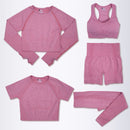Conjunto feminino para academia