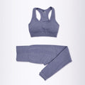 Conjunto feminino para academia